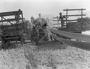 Carts Prints: The threshing of oats, Clayton