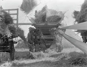 Cereal Prints: The threshing of oats, Clayton