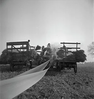 Wagons Prints: The threshing of oats, Clayton
