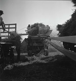 The threshing of oats, Clayton, Indiana, south of Indianapolis, 1936 Creator: Dorothea Lange