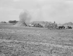 Threshing red clover for seed on older settlers ranch, near Ontario, Malheur County, Oregon, 1939. Creator: Dorothea Lange