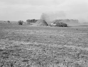 Threshing red clover for seed on older settlers ranch, near Ontario, Oregon, 1939. Creator: Dorothea Lange