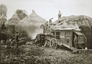 Threshing for straw for soldiers use, France, World War I, 1916