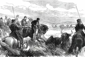 Cruelty To Animals Prints: Throwing Bulls at Seville before the Prince of Wales