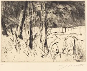 Berlin Germany Gallery: Tiergarten (Zoological Garden), 1922. Creator: Lovis Corinth