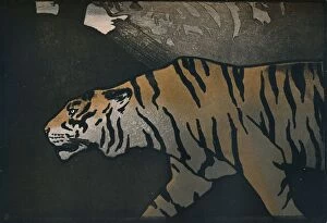 Animal Head Collection: The Tiger, c1900. Artist: John Dickson Batten
