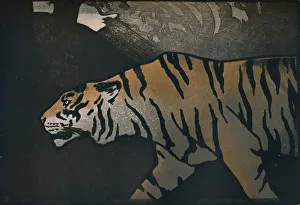 Animal Head Collection: The Tiger, c1900. Artist: John Dickson Batten