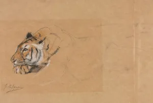 19th 20th Century Gallery: Tiger. Creator: John Macallan Swan (British, 1847-1910)