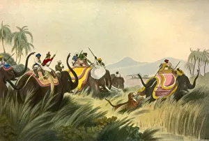 James Maclaren Prints: The Tiger Hunt, c1808, (1901). Creator: Unknown