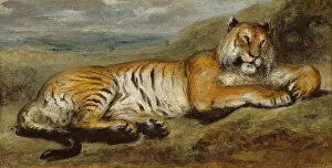 Tiger Collection: Tiger Resting, c. 1830. Creator: Pierre Andrieu