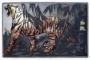 Jungle Prints: Tiger; scene from 'The Jungle Book', 1919. Creator: Paul Jouve