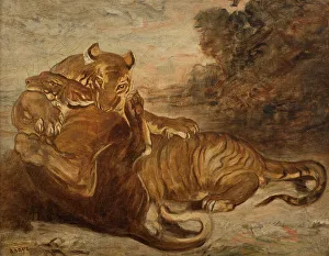 Antoine Louis Barye Prints: Two Tigers at Play, early-mid 19th century. Creator: Antoine-Louis Barye