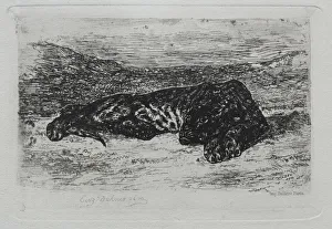 1798 1863 Prints: Tigre couche dans le desert. Creator: Eugene Delacroix (French, 1798-1863)