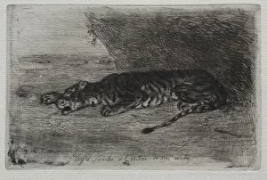 1798 1863 Prints: Tigre couche a lentree de son antre. Creator: Eugene Delacroix (French