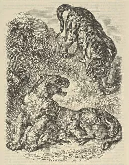 Fierce Gallery: Tigress Attacked by a Tiger While Nursing her Young, 1853. 1853