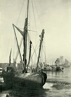 Albert Prince Prints: At Tilbury Lie the Steamers Which Carried To England A Fraction of the Mighty Coronation