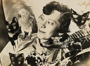 Photomontage Prints: Tilla Durieux with exotic animals, 1920s. Creator: Stone, Sasha (1895-1940)