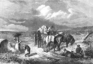 Enclosure Prints: A Timber Clearing in the New Forest, 1871. Creator: Unknown