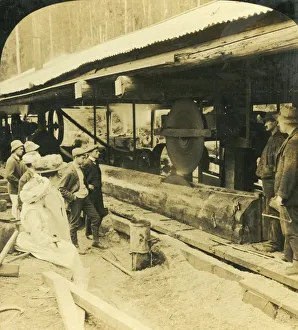 Innovation Prints: The Timber Industry, Warburton, Victoria, Australia, 1909. Creator: George Rose