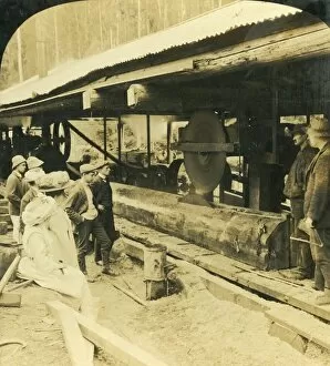 Circular Saw Gallery: The Timber Industry, Warburton, Victoria, Australia, 1909. Creator: George Rose