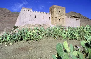 Cactus Gallery: Tin Mal Mosque, Morocco