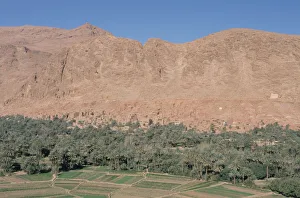 Oasis Prints: Tinerhir, Morocco