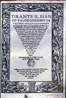 Edition Gallery: Tirant lo Blanc by Bernat Martorell, cover of the edition in Italian language, printed