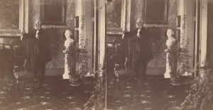 Ornithology Collection: Titian Ramsay Peale at G Street Residence, Washington, D.C. - Front Parlor, Circa 1862