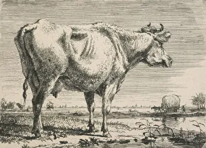 Haywain Prints: No title. (Cattle study.), c.1798. Creator: Pieter Gerardus van Os