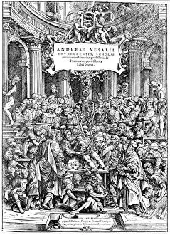 Dissection Gallery: Title page of Andreas Vesalius De Humani Corporis Fabrica, showing Vesalius dissecting body, 1543