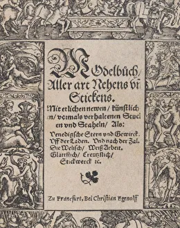 Title page from the Modelbuch aller Art Nehens vn Stickens (Page 1r), 1535