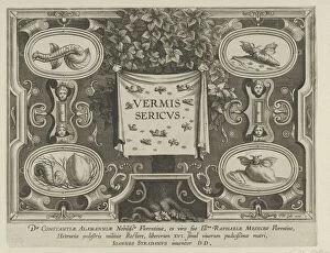 Insect Collection: Title Plate from 'The Introduction of the Silkworm'[Vermis Sericus], ca