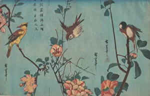 Ando Hiroshige Collection: Titmouse and Camellias (right), Sparrow and Wild Roses (center), and Black-naped Oriol... ca. 1833