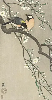 Cherry Prints: Tits on Cherry Branch, 1900-1910. Creator: Ohara, Koson (1877-1945)
