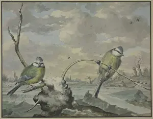 Coal Prints: Two tits in the winter, 1775. Creator: Gijsbertus Haasbroek