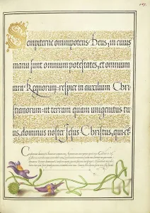 Bocskay Georg Prints: Toadflax; Mira calligraphiae monumenta