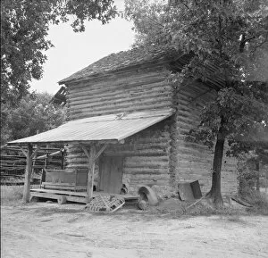 Timber Gallery: Tobacco barn with tobacco sled and vehicle... Person County, North Carolina, 1939