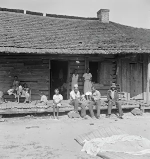 tobacco and cotton Tobacco farms, like Southern cotton farms, carry a heavy surplus... near  Tifton, Georgia, 1938. Creator: Dorothea Lange
