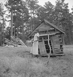 Tobacco sharecropper's daughter getting eggs from hen's nest... Person County, North Carolina