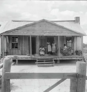 Tobacco Leaf Prints: Tobacco sharecropper's home near Douglas, Georgia, 1938. Creator: Dorothea Lange