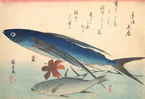 Fishes Prints: Tobiuo and Ishimochi Fish, from the series Uozukushi (Every Variety of Fish)
