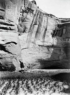 Canyon Collection: Today and Yesterday-Navajo. Antelope Ruin, Canyon del Muerto, c1906. Creator: Edward Sheriff Curtis
