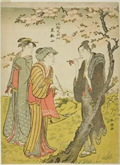 Cherry Tree Gallery: Toei Hill (Toeizan), from the series 'Five Hills of Edo (Koto no gozan)', c