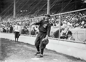 Catchers Mitt Prints: Tom Needham, Cubs, 11/5/13, 11/5/1913.. Creator: Bain News Service