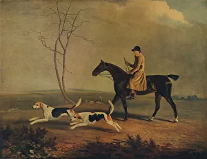 Marshall Prints: Tom Oldaker, Huntsman of the Berkley Hounds, on Pickle, with the hounds, (1800), 1929