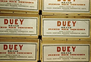 Tomato crates at the Yauco cooperative tomato growers association, Puerto Rico, 1942. Creator: Jack Delano
