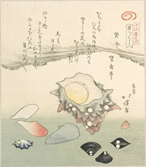 Kyosai Prints: Top-Shell and Various Shells, 19th century. Creator: Totoya Hokkei