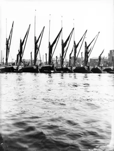 Sailing Barge Prints: Topsail barges at anchor on the Thames, some with topsails lowered, London, c1905