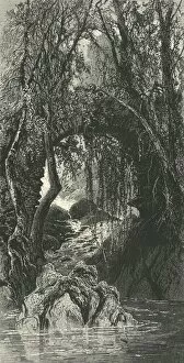 Co Cassell Petter Galpin Gallery: The Torrent Walk, Dolgelly, c1870