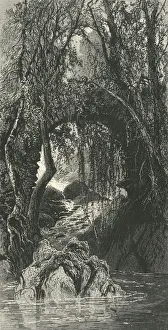Petter Gallery: The Torrent Walk, Dolgelly, c1870